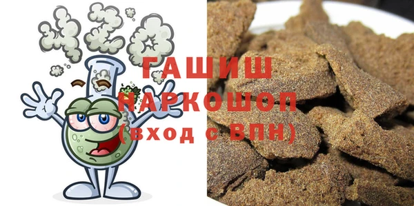 хмурый Алексин