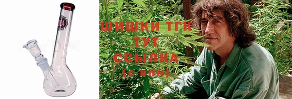 спиды Алзамай