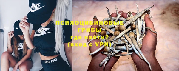 хмурый Алексин