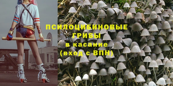 Альфа ПВП Алексеевка