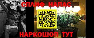 мяу мяу мука Бузулук